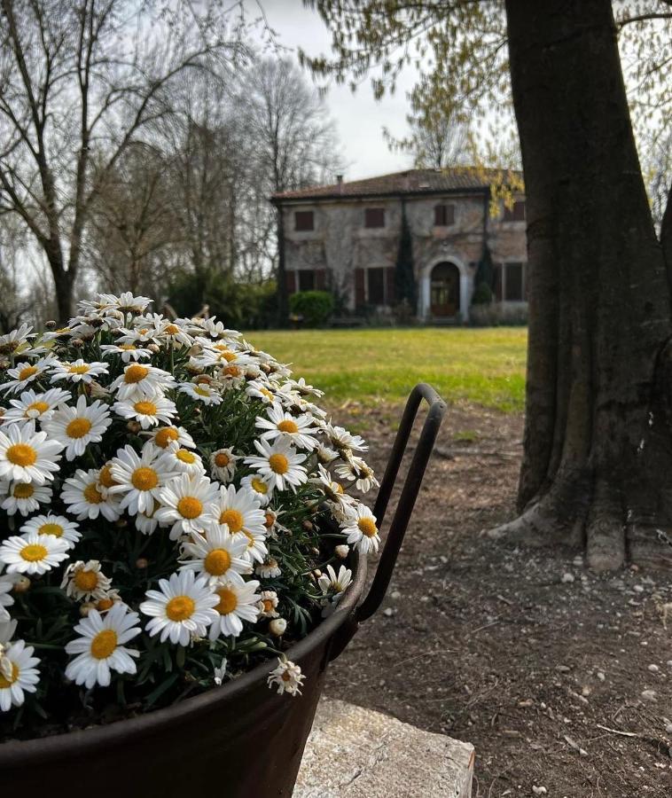Agriturismo Corte San Girolamo Mantova Exterior photo