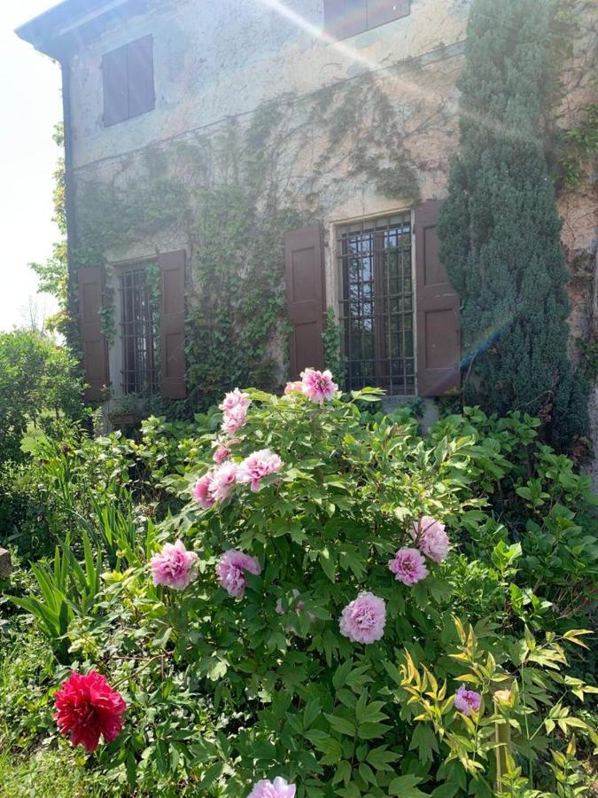 Agriturismo Corte San Girolamo Mantova Exterior photo